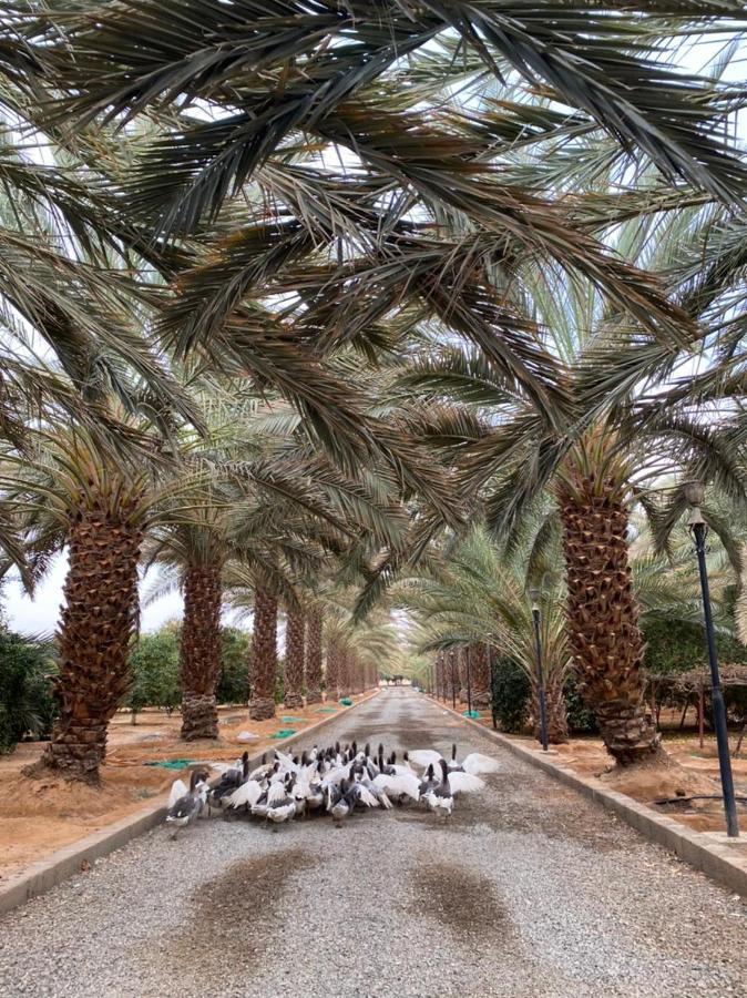 فيلا آفيري Aviary Villa Al-Ula Zewnętrze zdjęcie